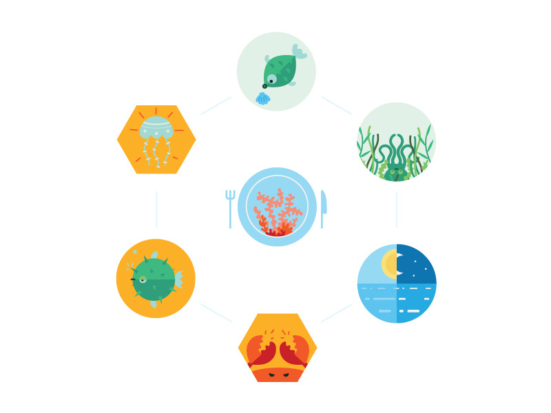 800x600 Coral Reef Icons
