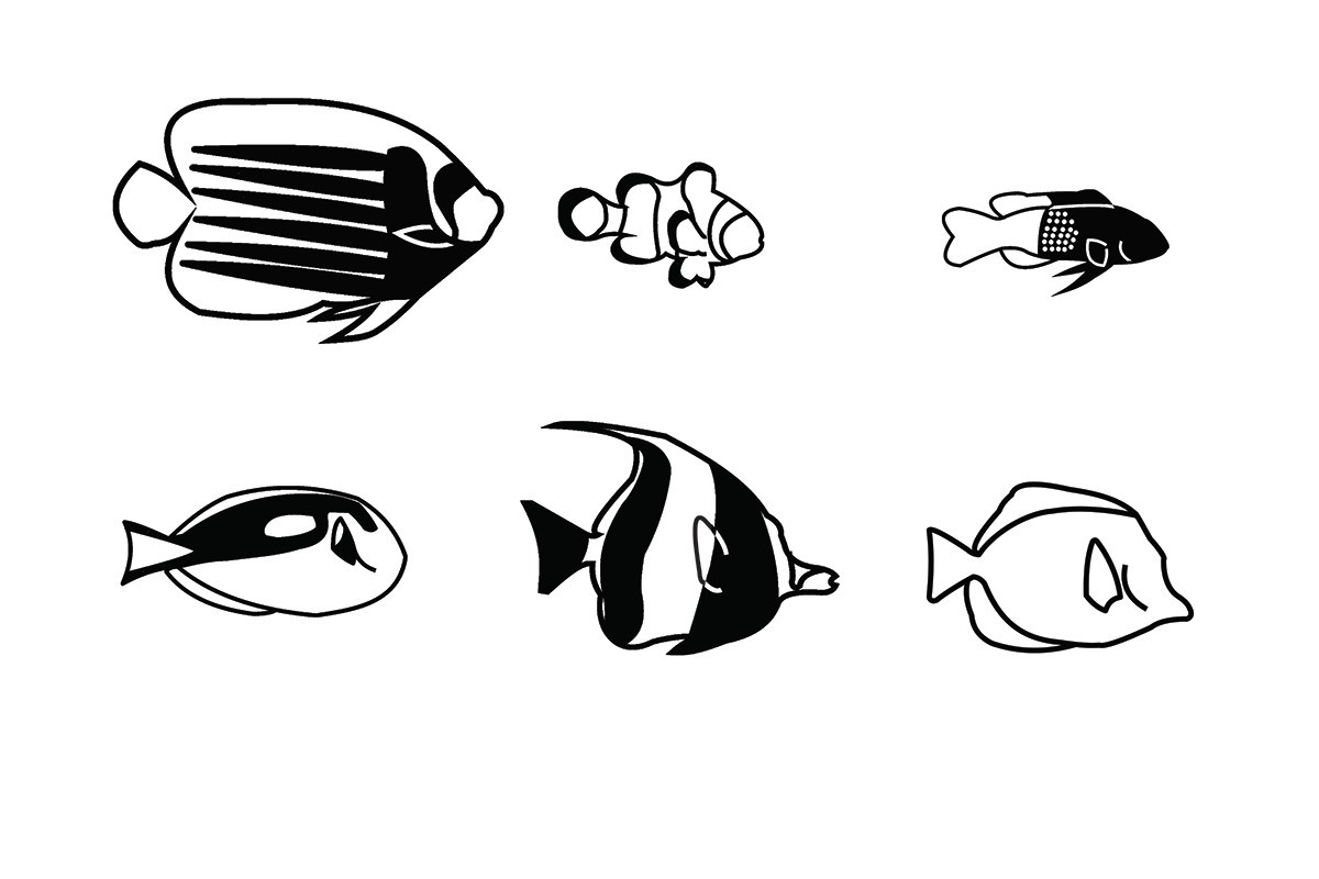 1200x800 Fish Of The Reef Icon Design On Behance