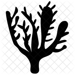 256x256 Xenia Reef Icon Of Glyph Style