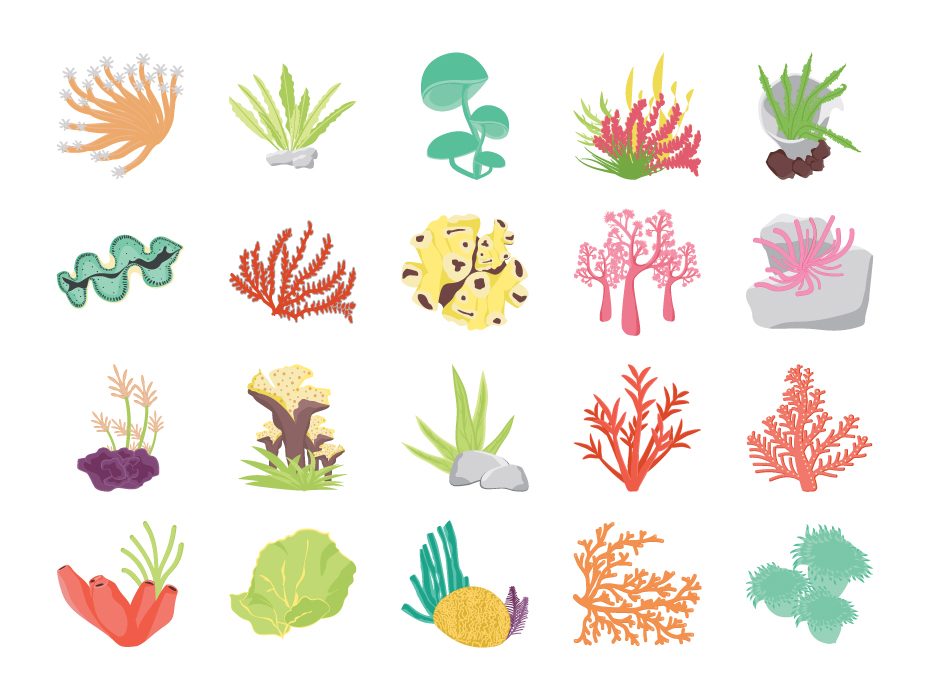 Reef Icon at Vectorified.com | Collection of Reef Icon free for ...