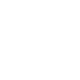 256x256 White Refresh Icon