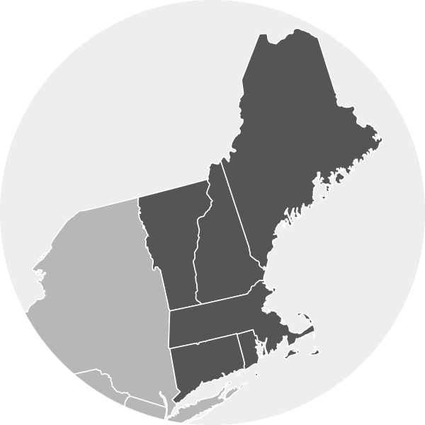 600x600 Region Cutout Icon Ne