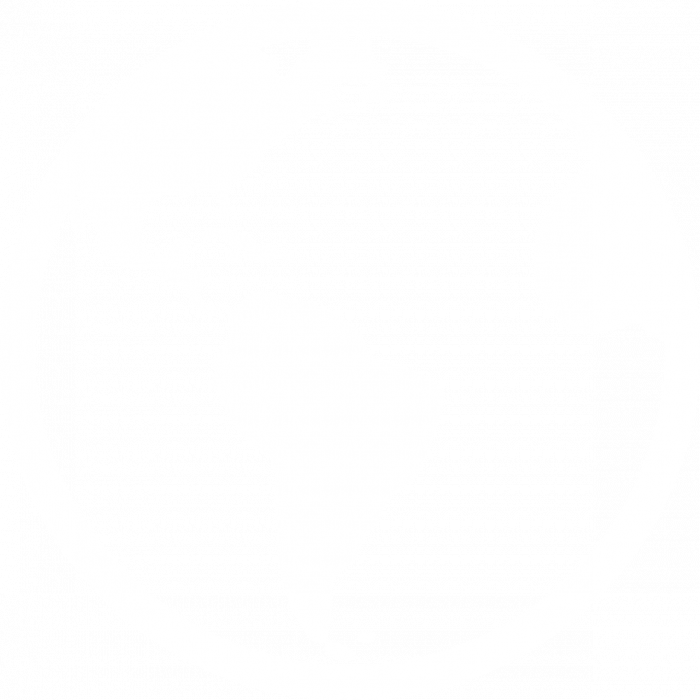 700x700 Hd Globe America White Icon