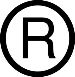 244x250 Registered Trademark Icon