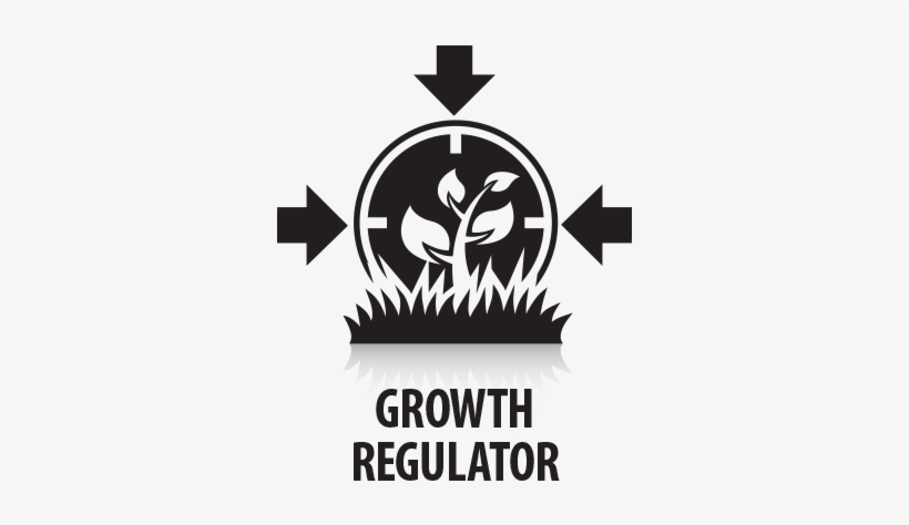 820x474 Growth Regulator