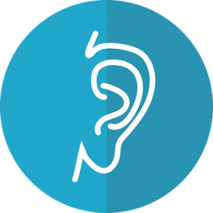 300x300 Ear Icon