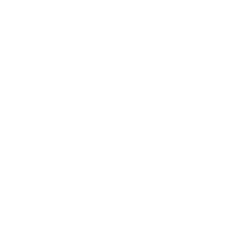 250x250 Reinhardt Overwatch Infinity