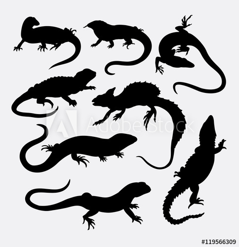 484x500 Lizard Reptile Animal Silhouette Good Use For Symbol, Logo, Web