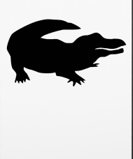 190x228 Animals Icon Crocodile Alligator Reptile Iphone Case