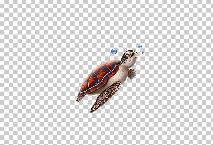 728x496 Sea Turtle Reptile Icon Png, Clipart, Animal, Animals, Apple Icon