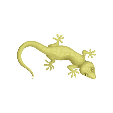 Reptile Icon at Vectorified.com | Collection of Reptile Icon free for ...