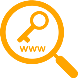 256x256 Orange Keyword Research Icon