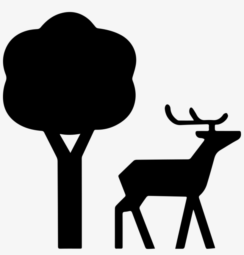 820x858 Nature Clipart Nature Reserve