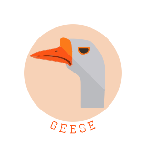 300x300 Geese Icon