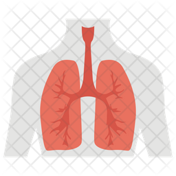 256x256 Respiratory Organ Icon Of Flat Style