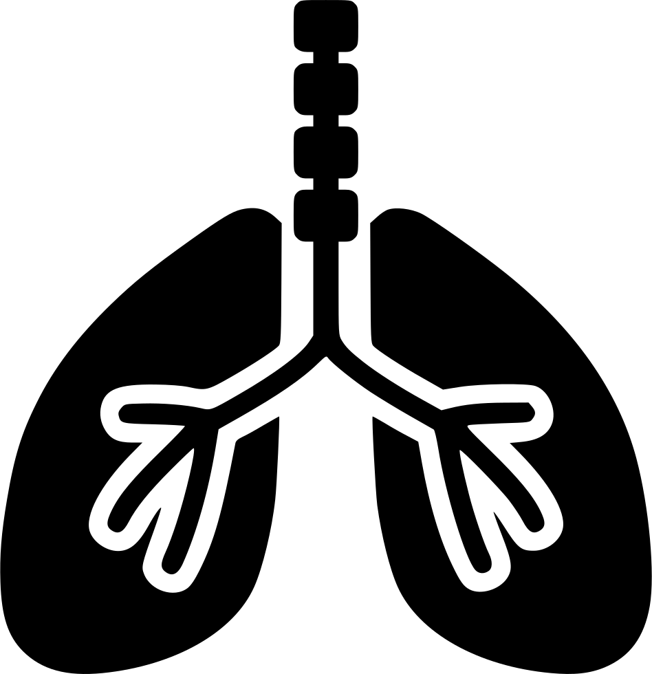 Respiratory Icon at Vectorified.com | Collection of Respiratory Icon ...