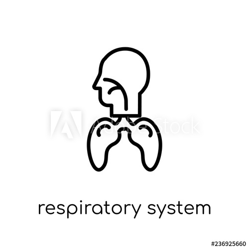 500x500 Respiratory System Icon Trendy Modern Flat Linear Vector