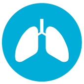 Respiratory Icon at Vectorified.com | Collection of Respiratory Icon ...