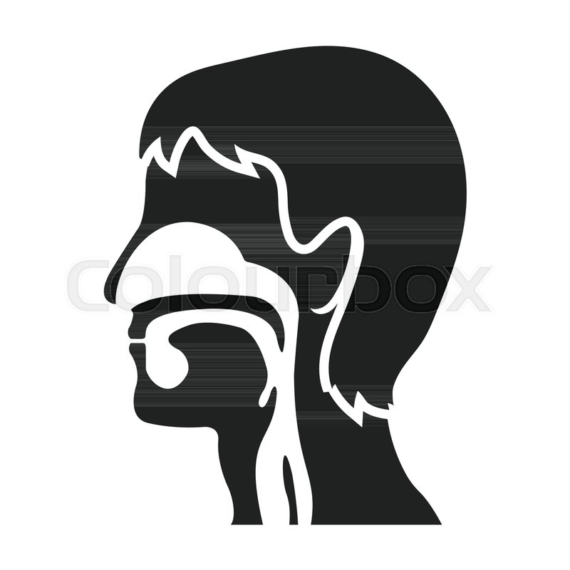800x800 Respiratory System Icon In Black Style Stock Vector Colourbox