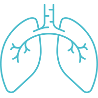 200x200 Icon Our Focus Respiratory Blue