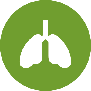 35 Respiratory icon images at Vectorified.com