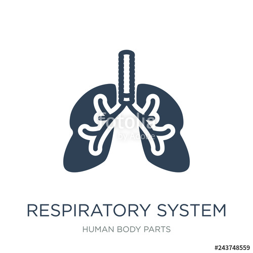 500x500 Respiratory System Icon Vector On White Background, Respiratory
