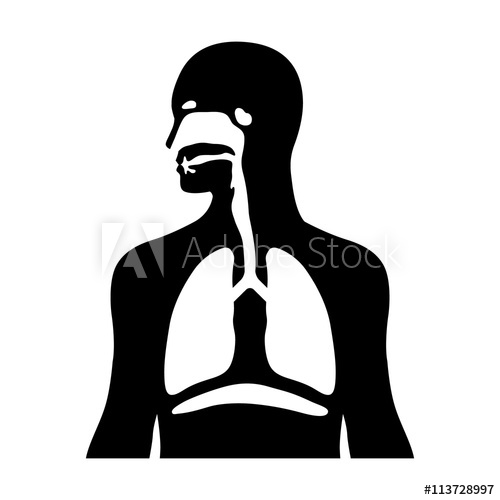 500x500 Human Biological Respiratory System Flat Icon For Medical Apps