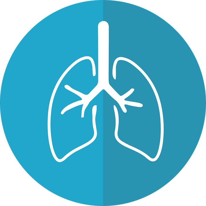 720x720 Lungs, Lung Icon, Respiration
