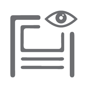 300x300 Responsive Icon