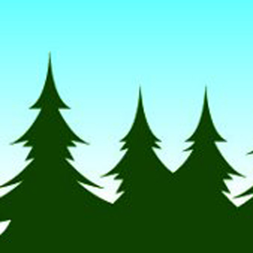 512x512 Cropped Site Icon