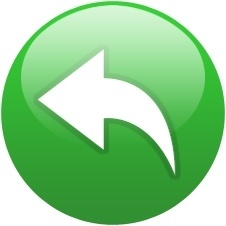 226x226 Return Free Icon Download