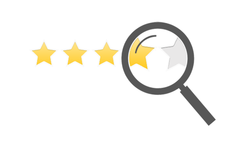 498x311 Vector Icon Review