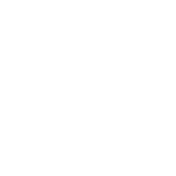 256x256 Free White Rfid Sensor Icon