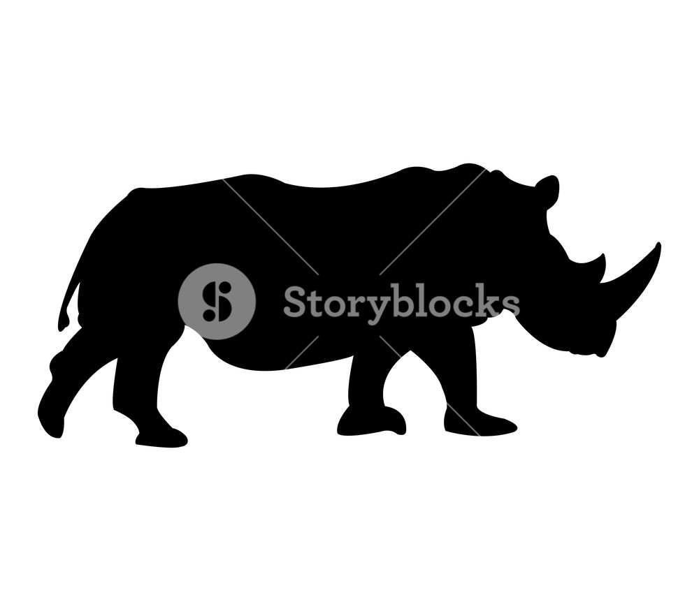 1000x875 Rhinoceros Icon Illustrated On White Background Royalty Free Stock