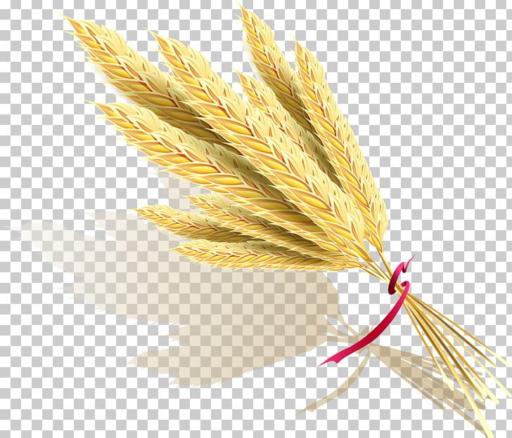 728x624 Rice Icon Png, Clipart, Adobe Illustrator, Brown Rice, Commodity
