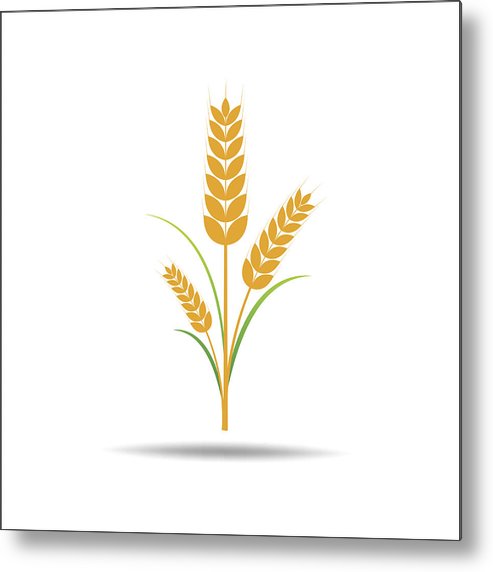 493x572 Wheat Rice Icon Metal Print