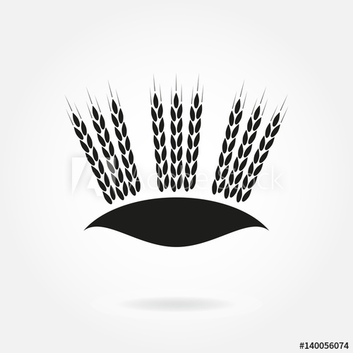500x500 Wheat Ears Or Rice Icon Crop, Barley Or Rye Symbol Design