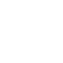 256x256 White Ring Icon