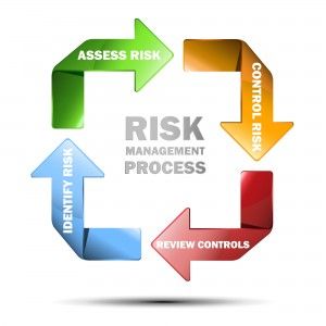 300x300 Vector Icon Successful Business Concept Risk Management