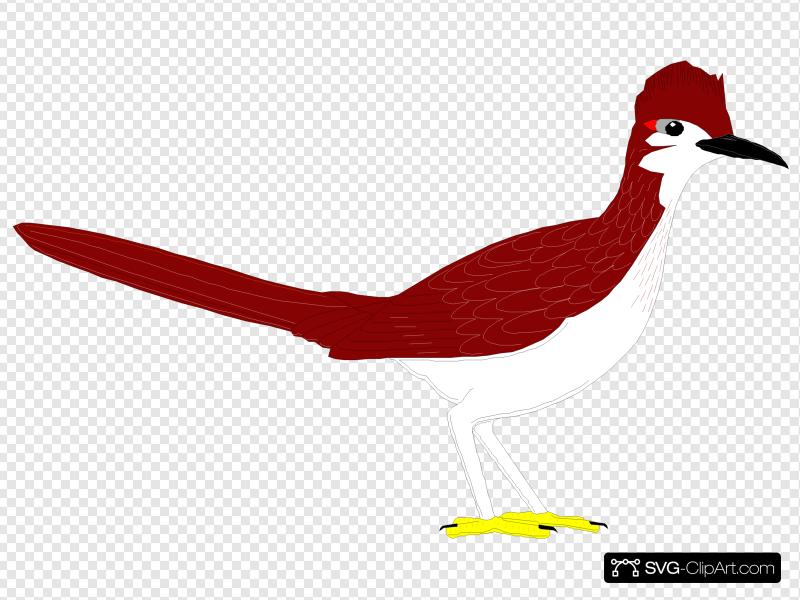 800x600 Roadrunner Clip Art, Icon