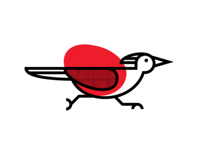 400x300 Roadrunner Icon