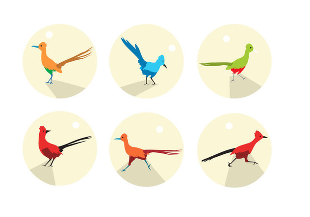 632x443 Roadrunner Icons Vector Free Vector Download Cannypic