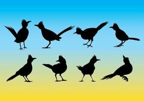 286x200 Roadrunner Logo Icons