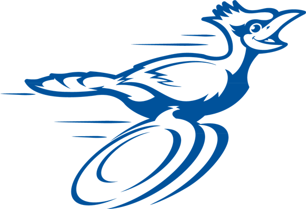 roadrunner shape collage roadrunner shape collage