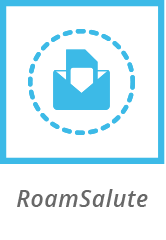 166x240 Roaming Icon