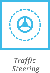 166x240 Roaming Icon