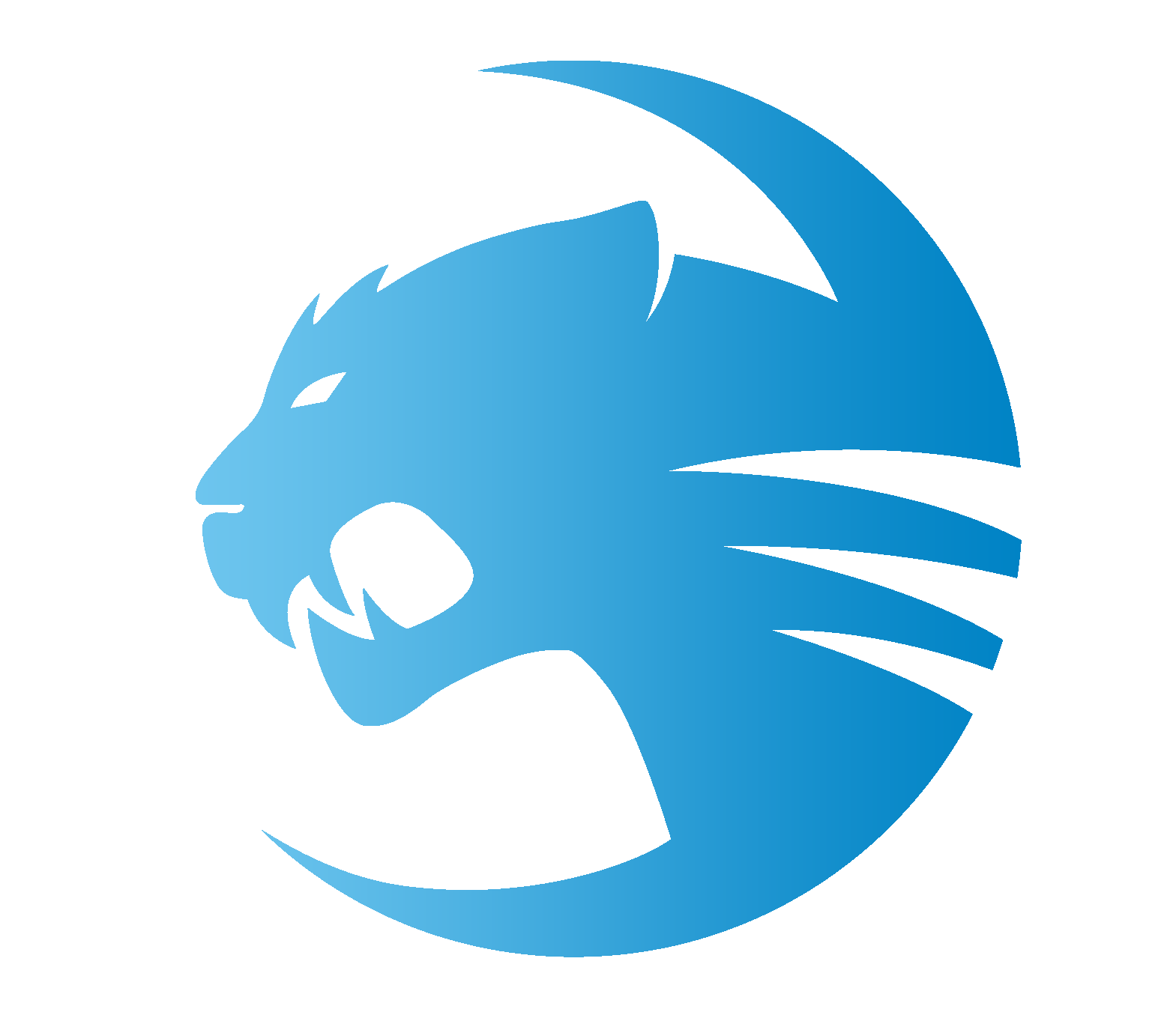 1569x1359 Fileroccat