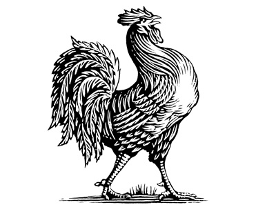 400x300 Rooster Icon