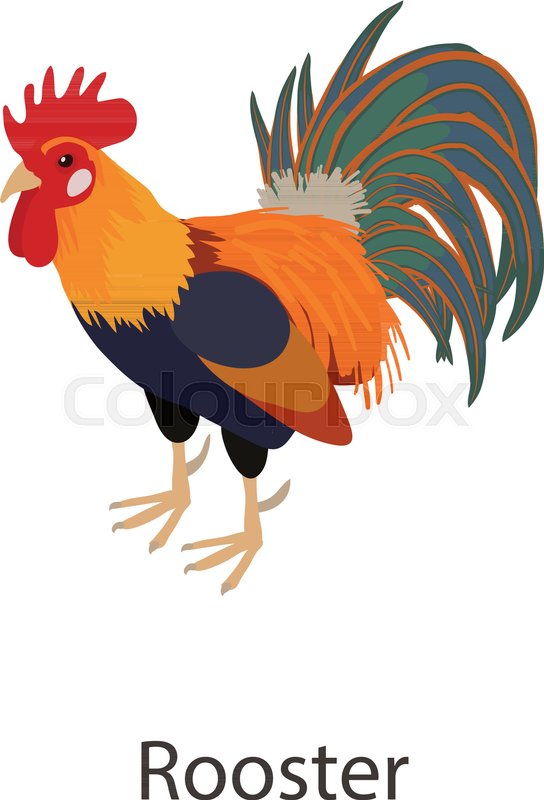 544x800 Rooster Icon Isometric Illustration Stock Vector Colourbox