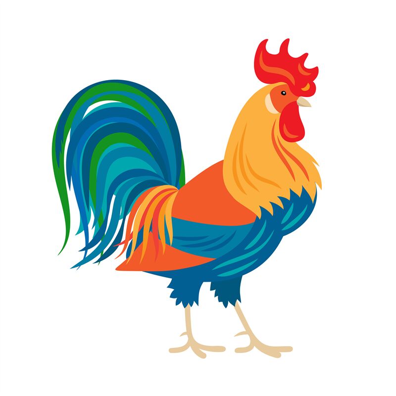 800x800 Stylized Colorfull Rooster Icon